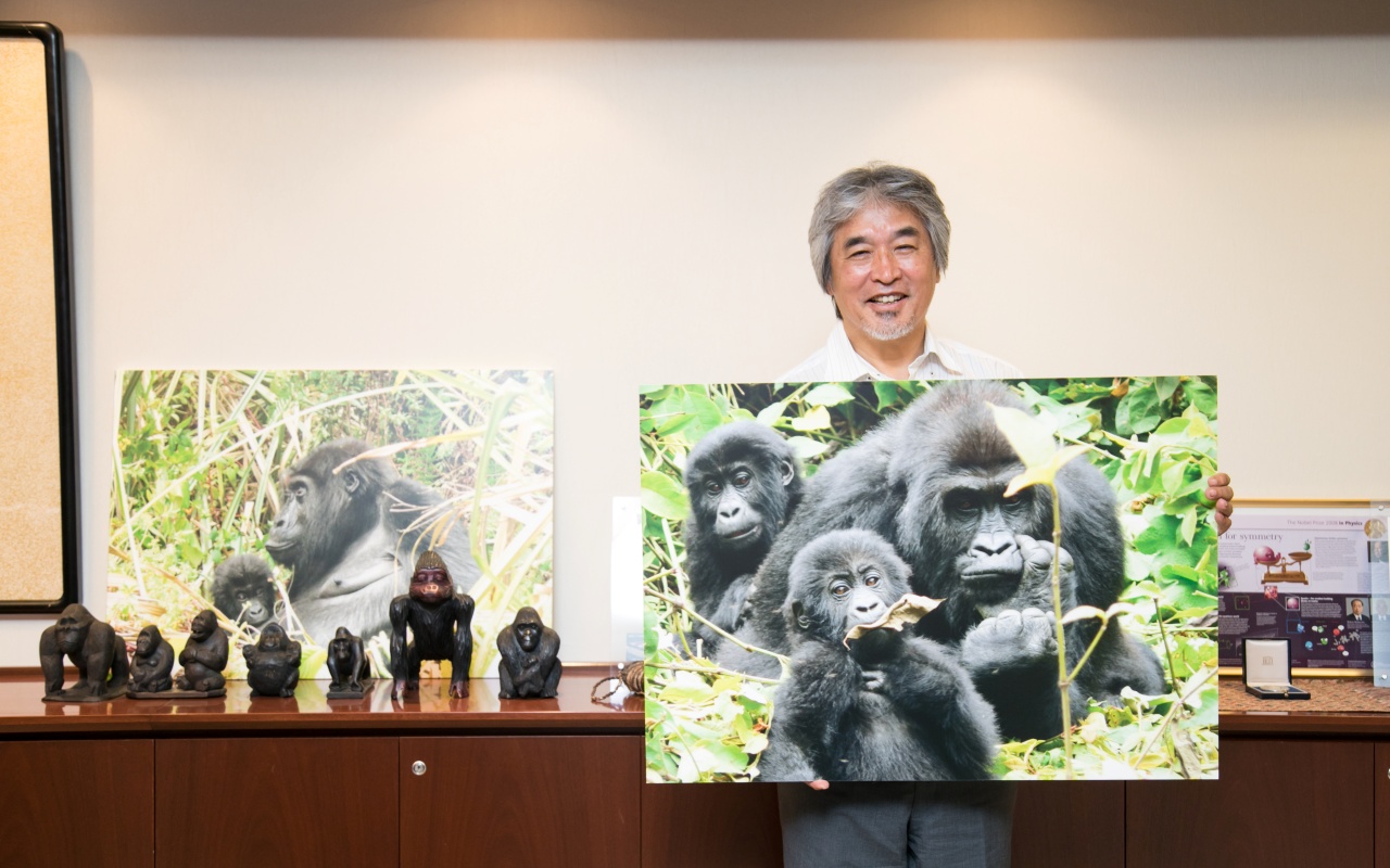 Professor Juichi holding a picture of gorillas